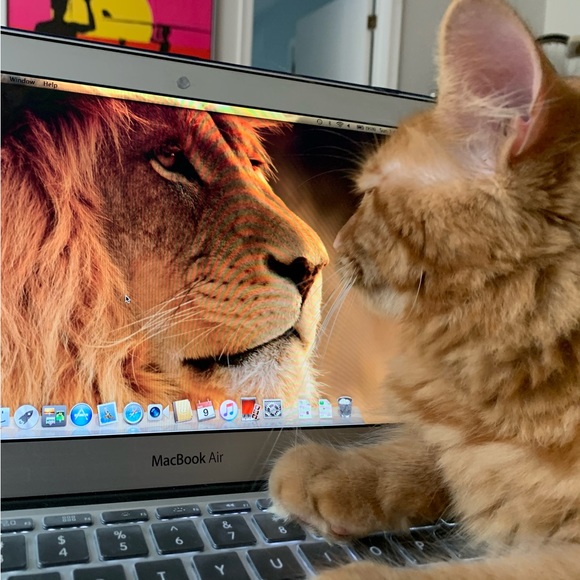 Hi, I'm Della, thanks for stopping by! 😊 - Picture 1 of 1